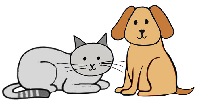 TSVI Hund und Katze